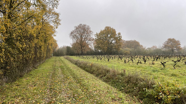 La rando gourmande avec la CAPL de Brissac